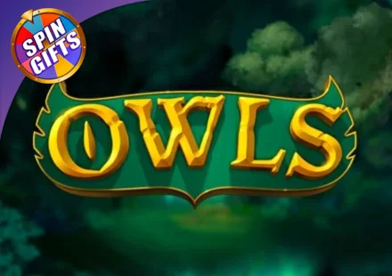 Owls